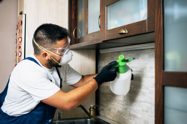 Wildlife Control Services in Weston Lakes, TX