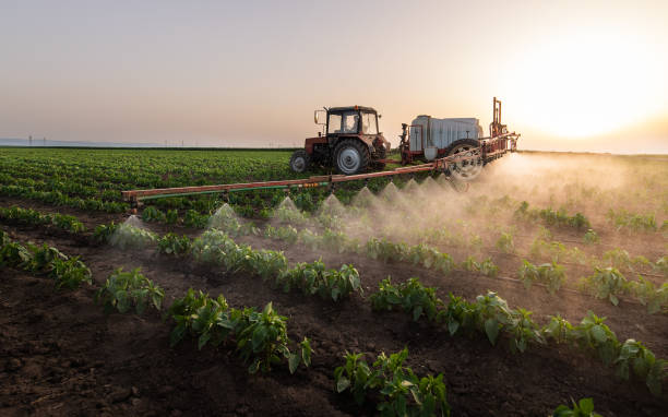 Best Pest Prevention Services  in Weston Lakes, TX