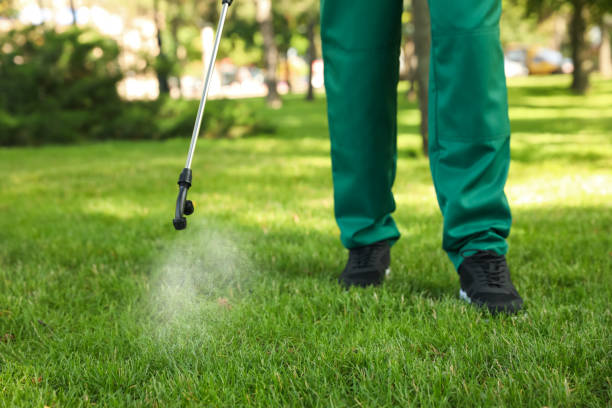 Bird Control in Weston Lakes, TX