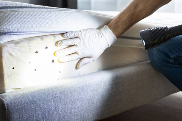 Pest Control for Restaurants in Weston Lakes, TX