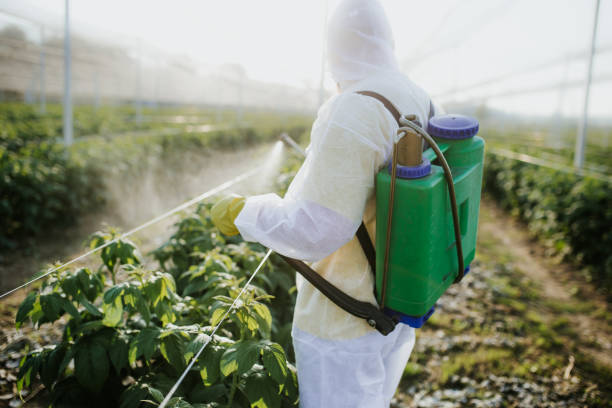 Best Bed Bug Extermination  in Weston Lakes, TX